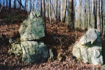 Rock formation, Wardensville Grade